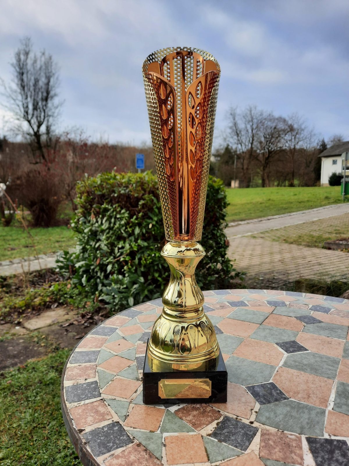 Pokal Profi-Landescup